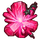 Essence Crystal SS Icon.png