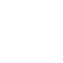 Bismarck Corporation Icon.png